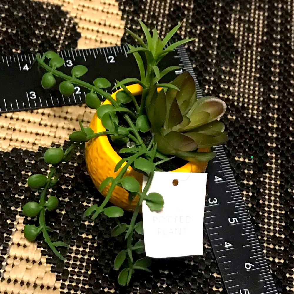 New Mustard Yellow Ceramic Potted Plant Succulent